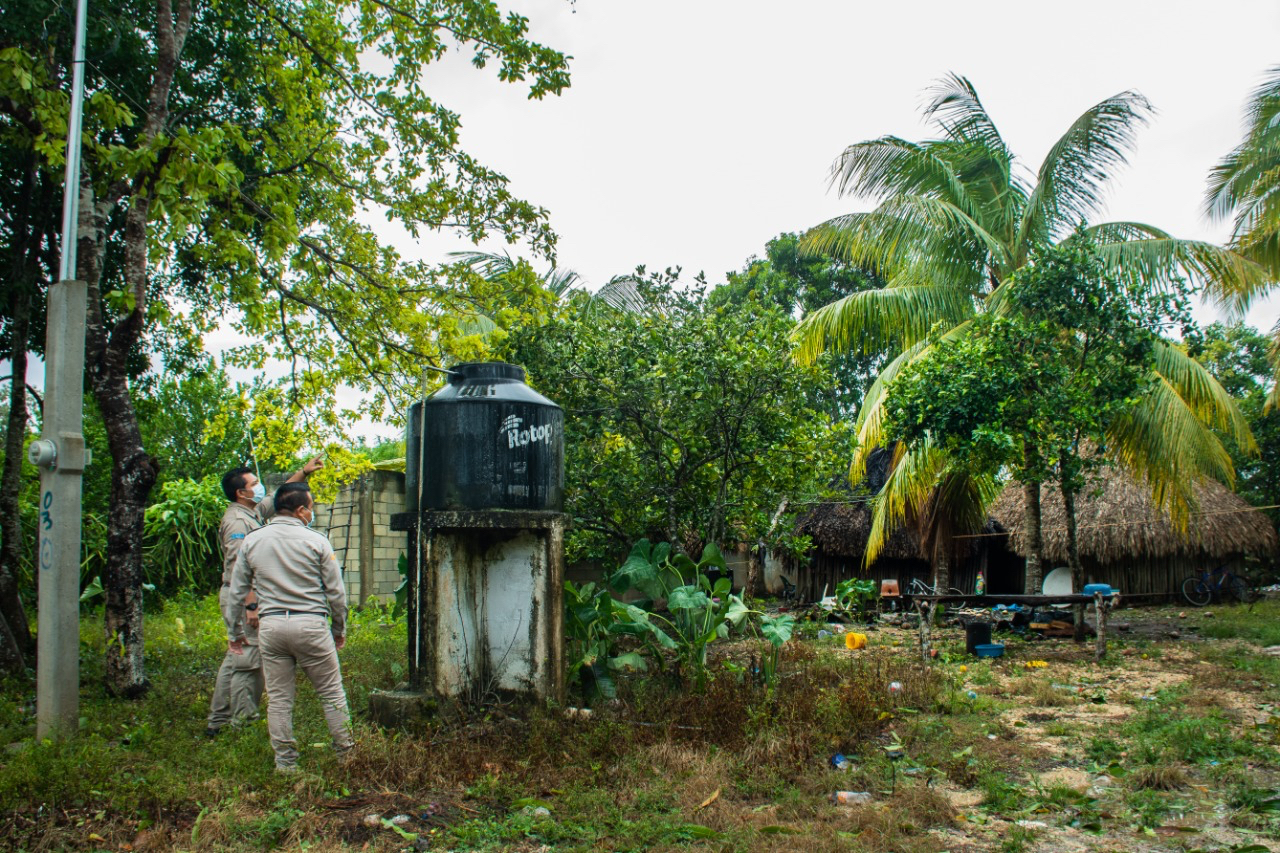 SESA realiza control larvario para prevenir dengue, zika y chikungunya.