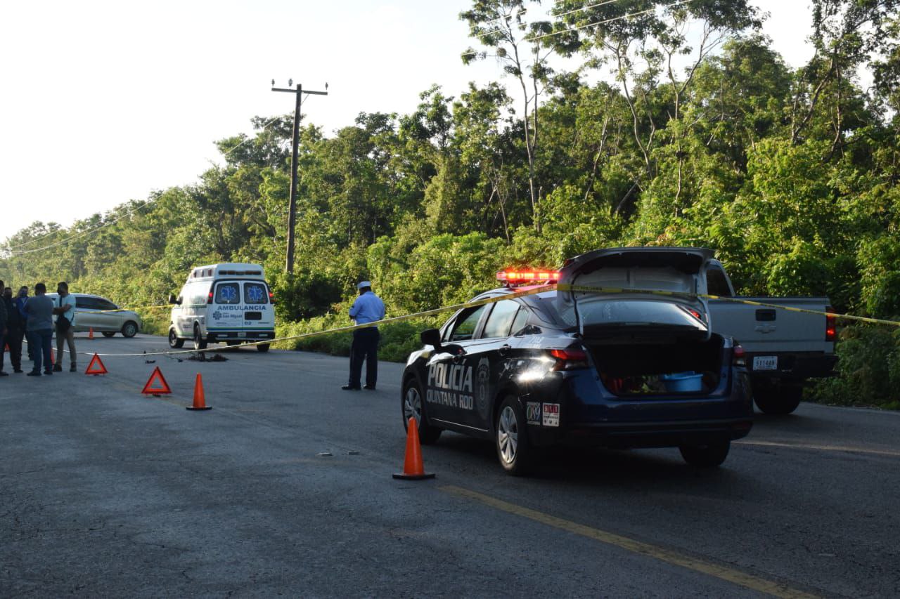 Patrulla y ambulancia en carretera