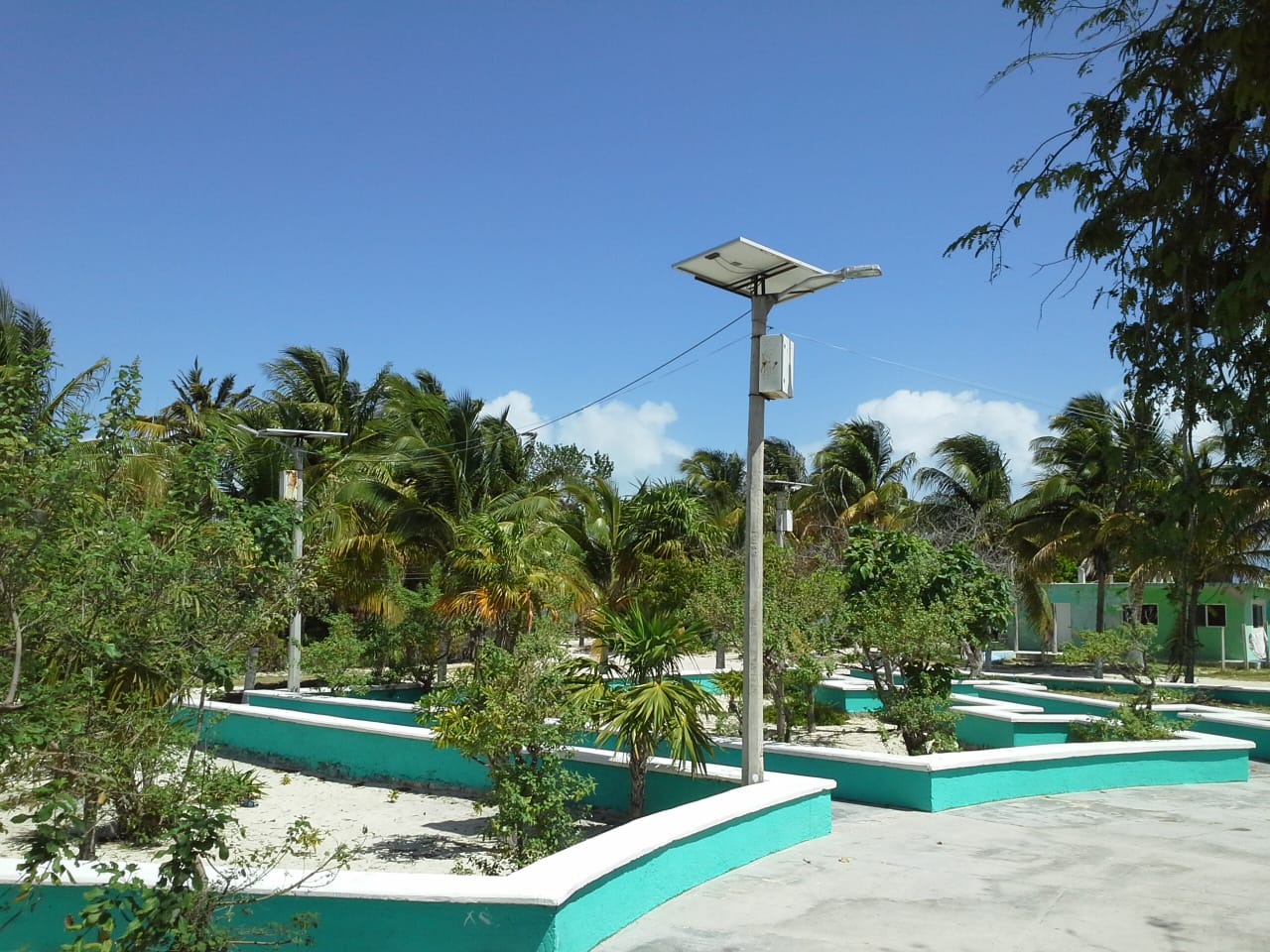 Proyecto de electricidad en Punta Allen