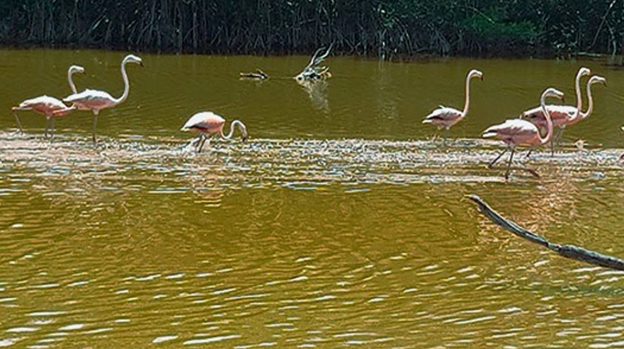 Cuenca de la Península em riesgo