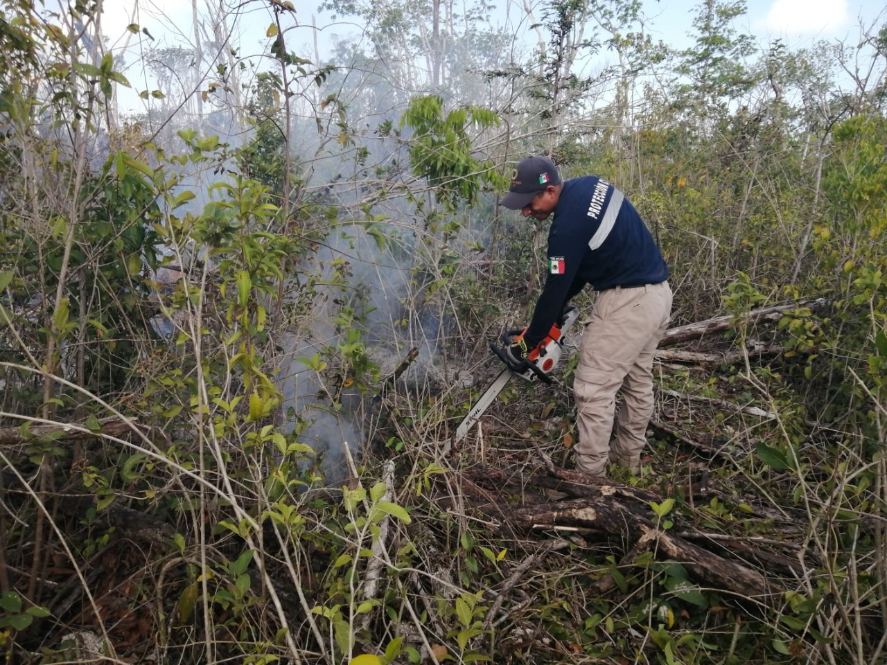 Evacúan a familias por incendio en la zona sur del municipio de Tulum