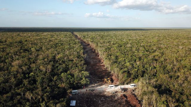 ¡Otorgan nuevo amparo contra el Tramo 5 del Tren Maya!