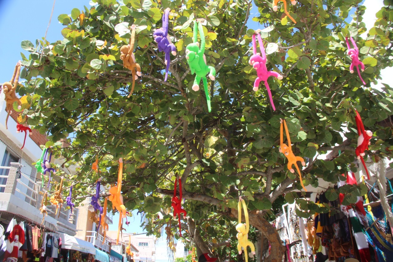 Changuitos Isla Mujeres