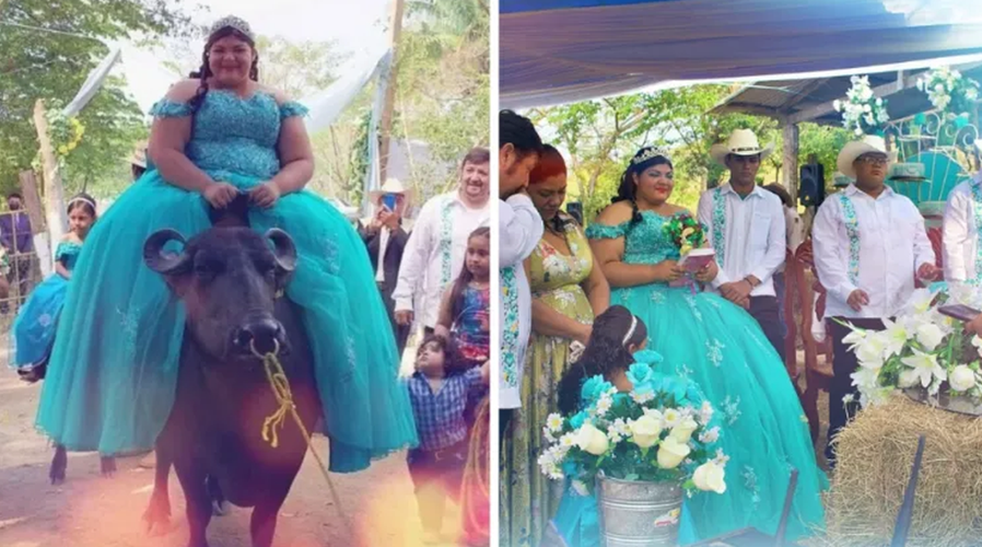 Quinceañera montada en un búfalo