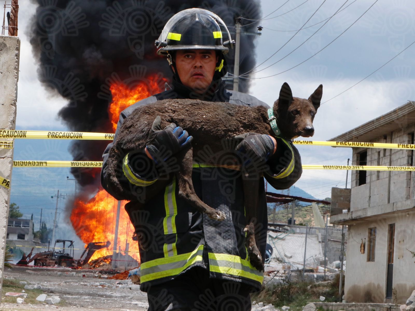 Bombero rescata perrito de explosión