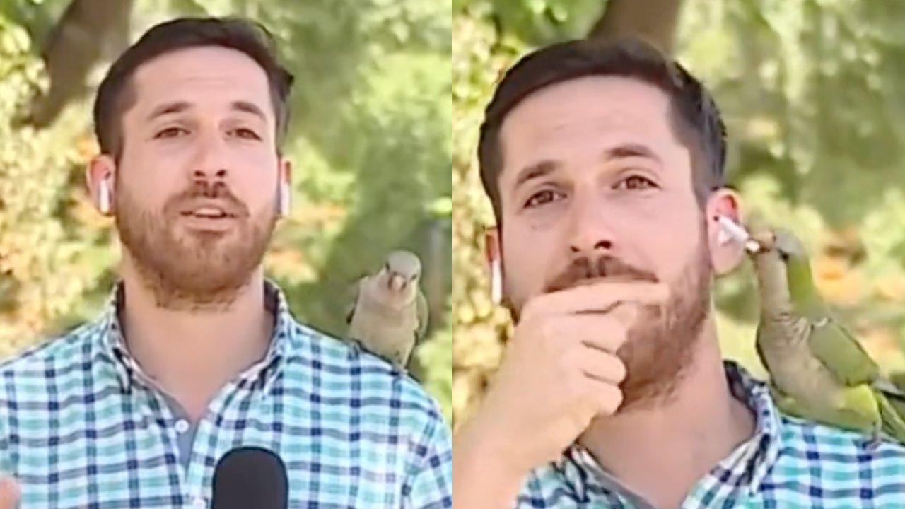 Loro roba a periodista