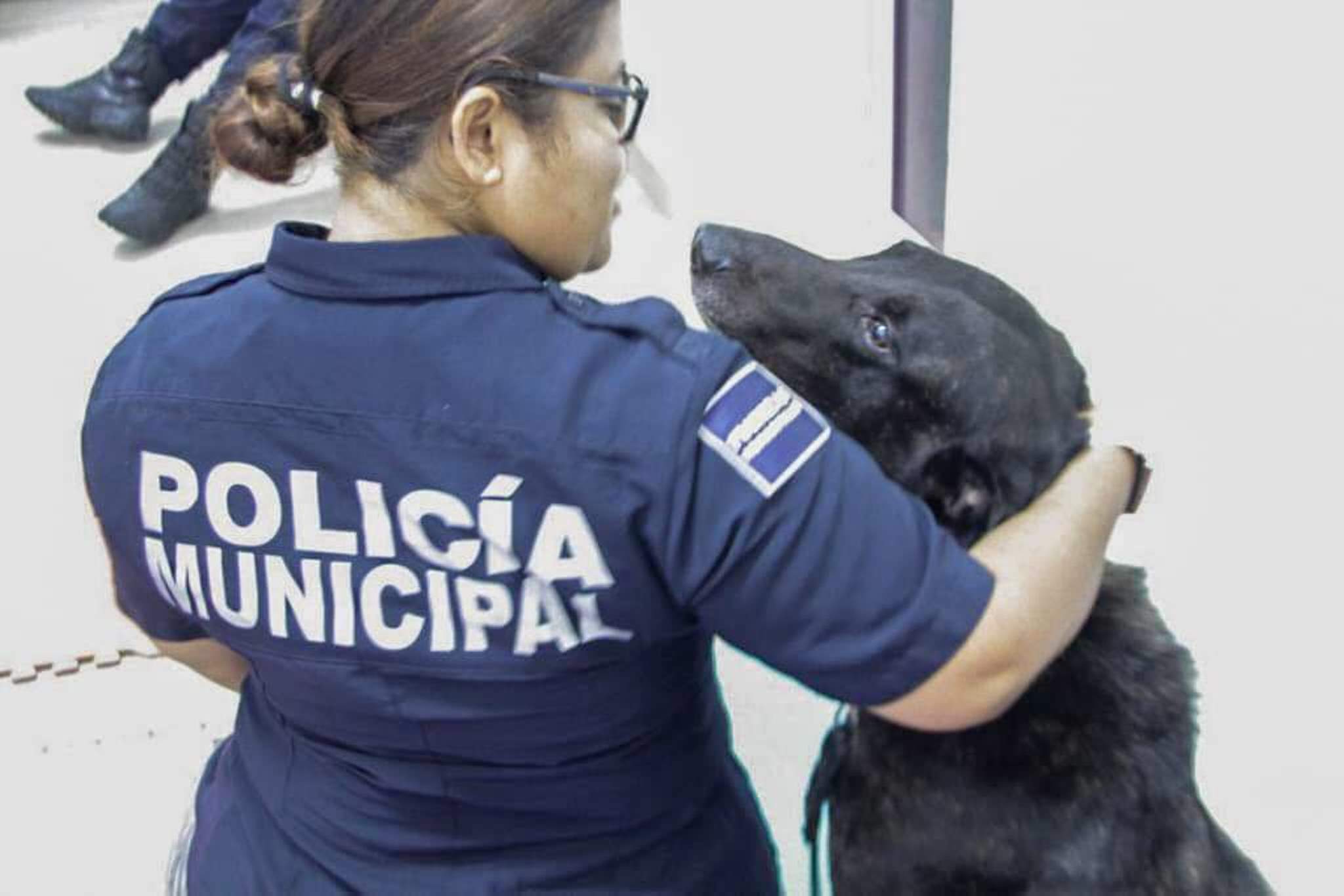 dirección de Psicología Policial