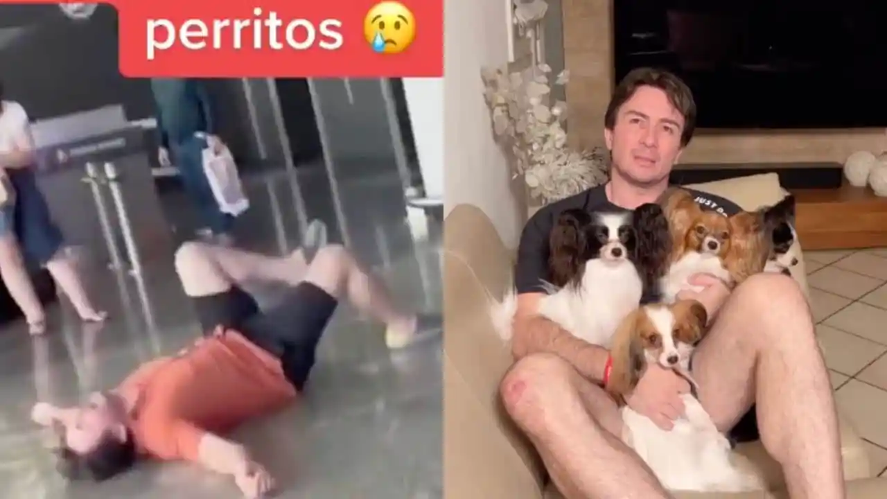 Hombre se reencuentra con sus perritos que perdió una aerolínea