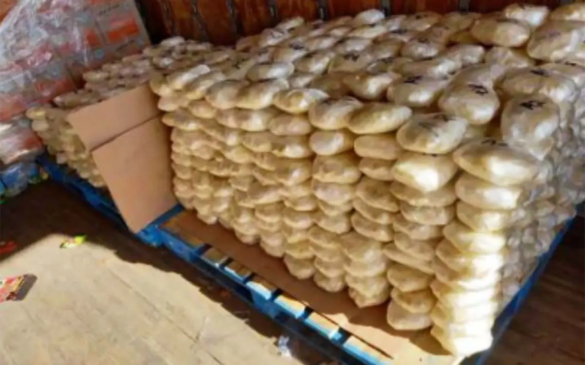 Policía de Toronto incauta 390 kilos de drogas