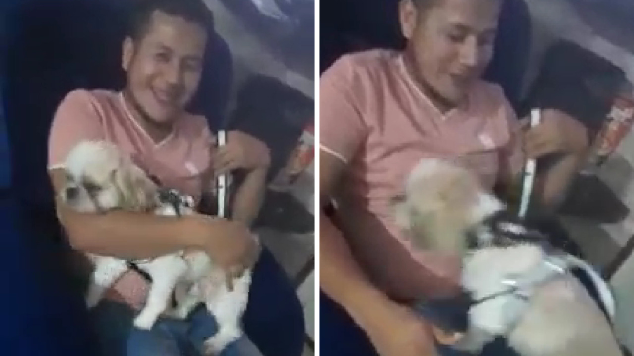 Taxista adopta a perrito que pasajero abandonó en su carro