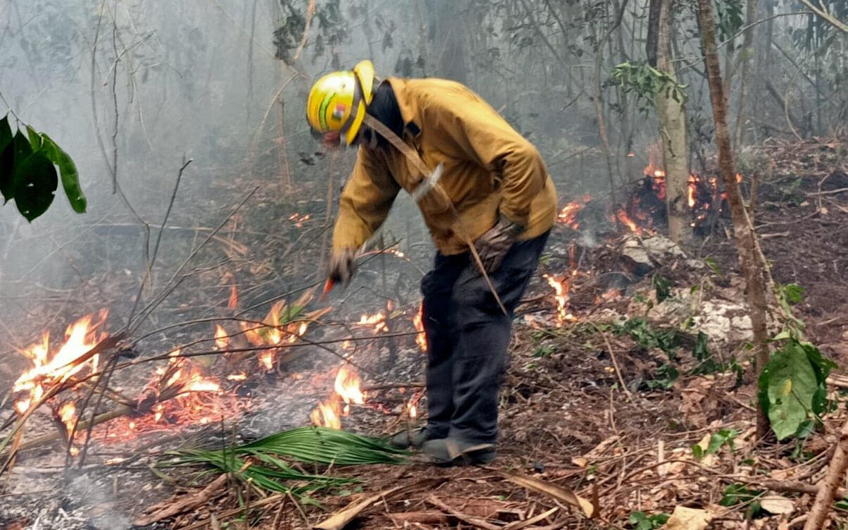 75 hectáreas han consumido el incendio forestal de Okolkin