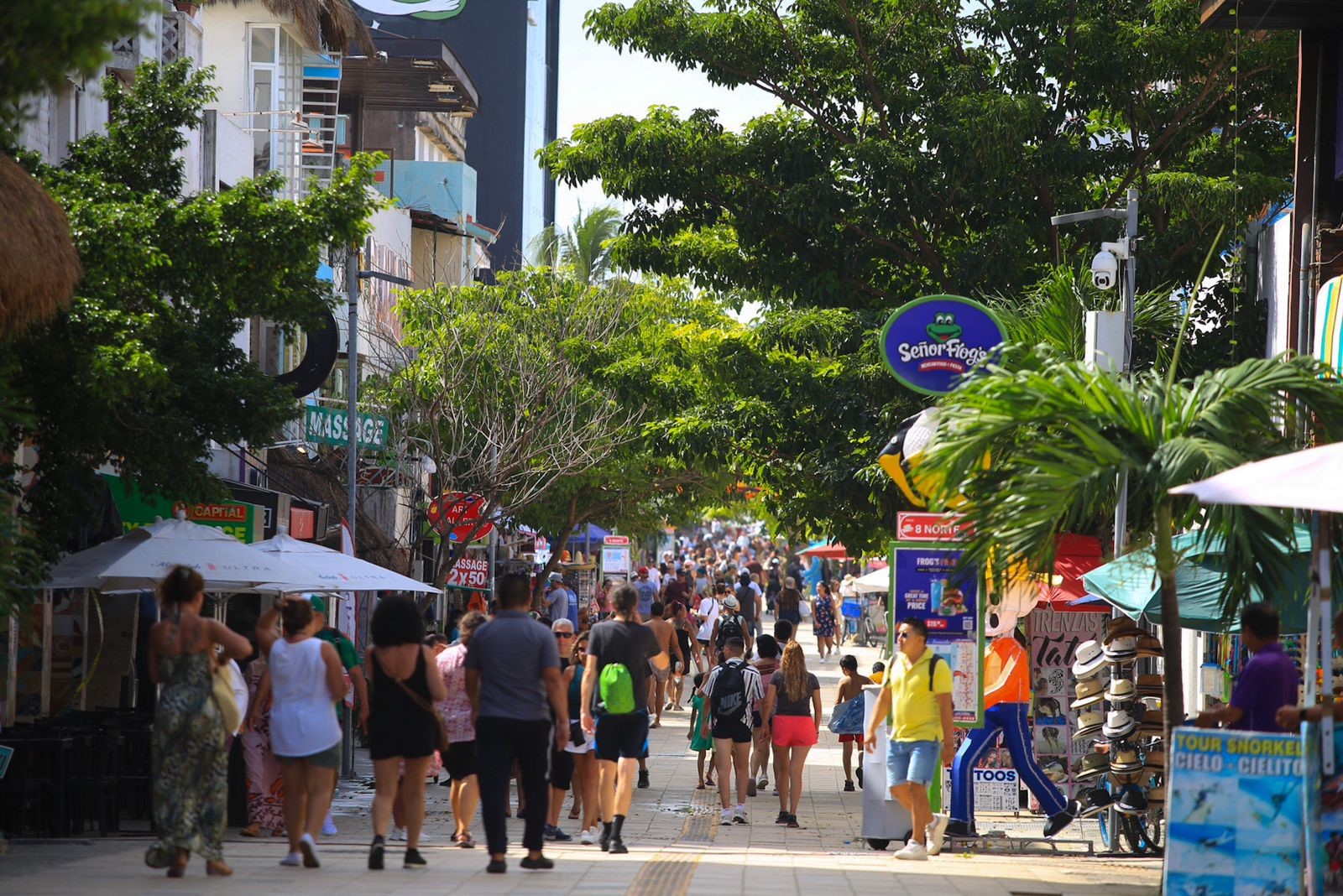 Lanzan en Solidaridad la convocatoria “Navidad Mágica en la Quinta Avenida”