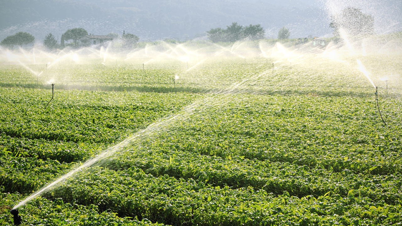 Tecnificarán más de 200,000 hectáreas de riego en México bajo Plan Nacional Hídrico